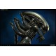 Alien Maquette Big Chap